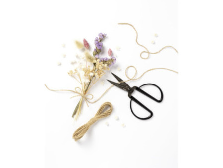 folia Ciseaux, pointus, longueur: env. 145 mm, or rose