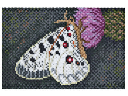 Hama Perles à repasser Art 'Papillon', boîte cadeau