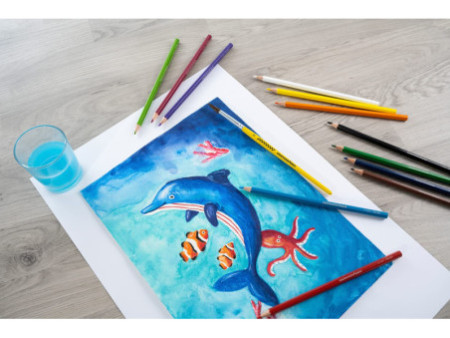 EBERHARD FABER Crayon de couleur COLORI, étui carton de 12
