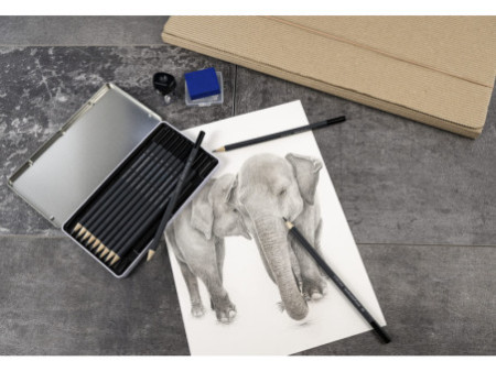 EBERHARD FABER Crayon de couleur Artist Color, étui de 12