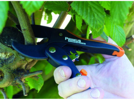 Garten PRIMUS Sécateur à crémaillère pour dames, L : 174 mm