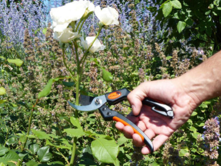Garten PRIMUS Sécateur de jardin pour hommes