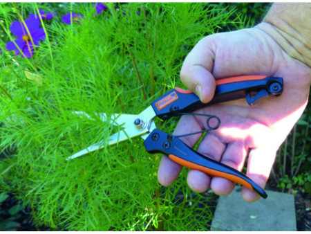 Garten PRIMUS Ciseaux à plantes vivaces & à herbes