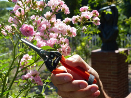 Garten PRIMUS Ciseaux de jardin 'Ciseaux magiques'
