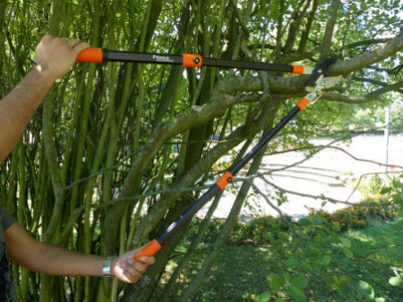 Garten PRIMUS Coupe-branches à enclume-sécateur, crémaillère