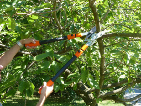 Garten PRIMUS Coupe-branches à enclume-sécateur, crémaillère