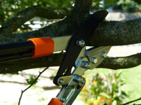 Garten PRIMUS Coupe-branches à enclume-sécateur, crémaillère