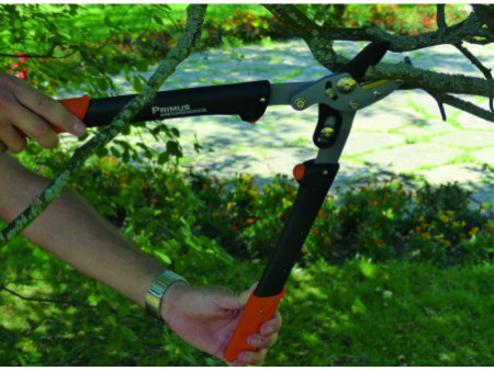 Garten PRIMUS Coupe-branches pour dames, longueur : 470 mm