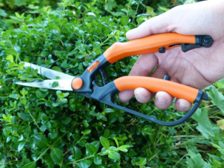 Garten PRIMUS Cisaille à buis, petit, longueur : 260 mm