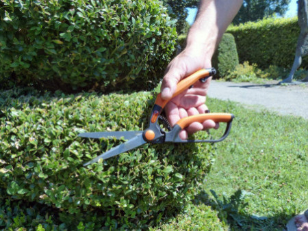 Garten PRIMUS Cisaille à buis, petit, longueur : 260 mm