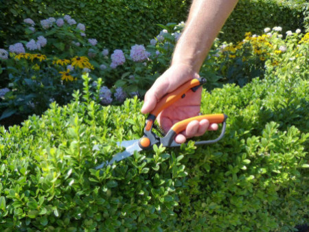 Garten PRIMUS Cisaille à buis, petit, longueur : 260 mm
