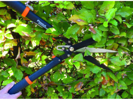 Garten PRIMUS Cisaille à haies 'Multi-coupes'