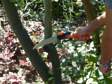 Garten PRIMUS Scie pliable 'Hai-Speed', longueur lame: 180mm
