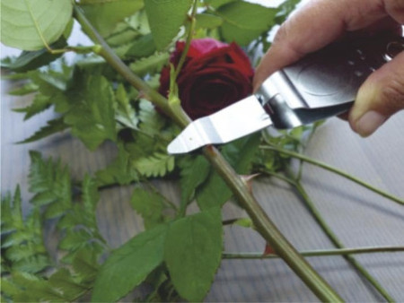 Garten PRIMUS Désépinoir, longueur: 145 mm