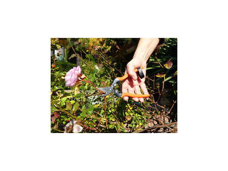 Garten PRIMUS Ressort de rechange pour sécateur spécial rose