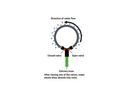 Bradas Anneau d'arrosage, vannes, tuyau poreux, 1/2', 2,0 m