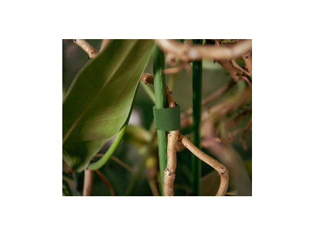 Bradas Ruban auto-agrippant, 9,5 mm x 5 m, vert