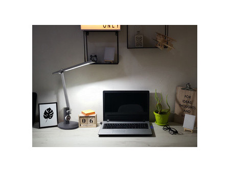 Hansa Lampe de bureau à LED Beam, pied, gris foncé