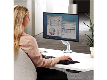 Fellowes Bras pour écran Eppa, blanc