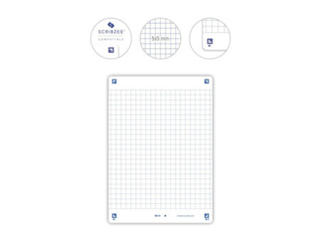 Oxford Fiches bristol REVISION 2.0, A6, blanc