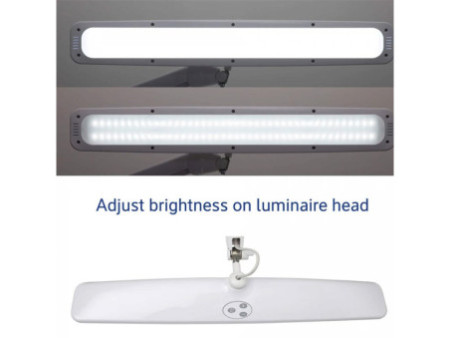 MAUL Lampe de bureau à LED MAULexplore, dimmable, blanc