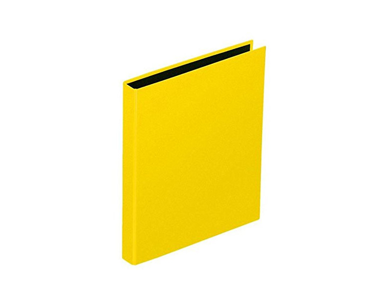 PAGNA Classeur à anneaux 'Basic Colours', mécanisme à 2