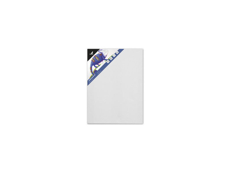 kangaro Châssis entoilé 3D, (L)500 x (P)37 x (H)600mm, blanc