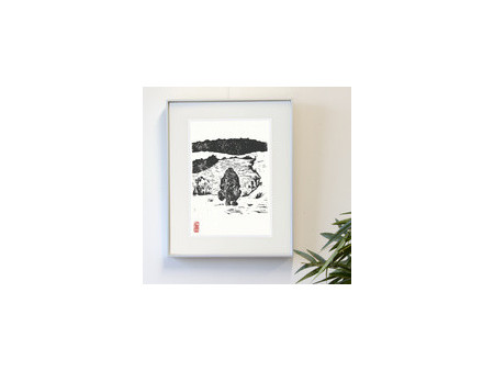 kangaro Carton plume, 500 x 700 mm, autocollant, blanc