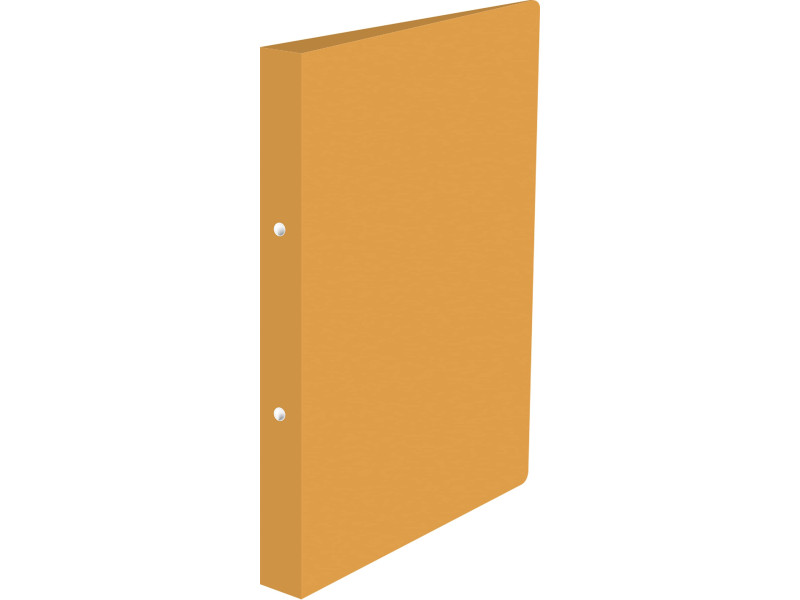 kangaro Classeur à anneaux, 2 anneaux, PP, A4, orange