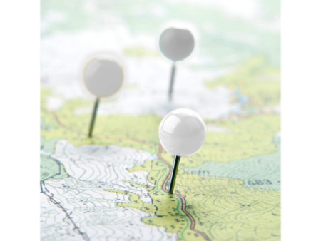 WESTCOTT Épingle à tête ronde, taille 5, blanc