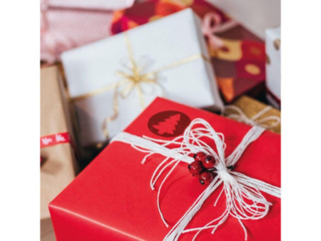 COLOP Kit tampon à motif 'LITTLE NIO' Noël, gris