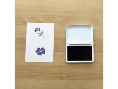 COLOP Tampon encreur, Make 2, 110 x 70 mm, lovable lavender