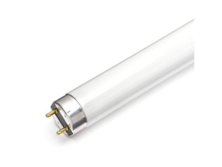 LEDVANCE Tube fluorescent LUMILUX T8, 18 Watt, G13 (830)