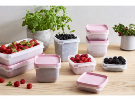 GastroMax Boîte de congélation, 0,75 litre, set de 4