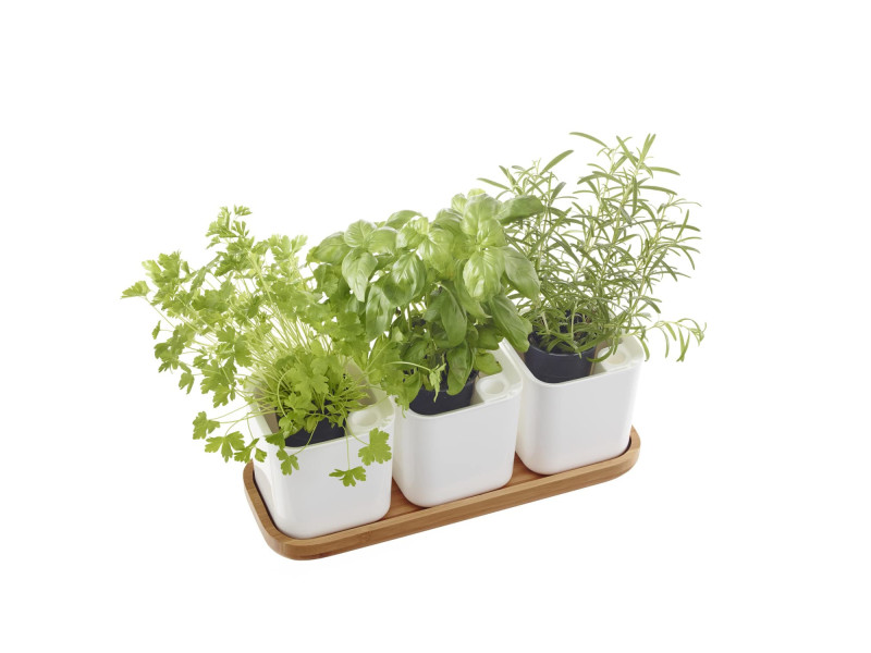 orthex Pot à herbes aromatiques EDEN, set de 3, blanc