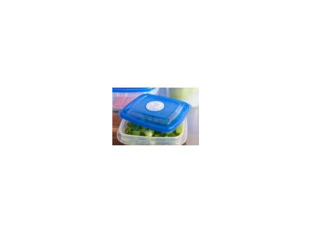plast team Boîte de congélation Top-Box avec dateur, 0,45 L