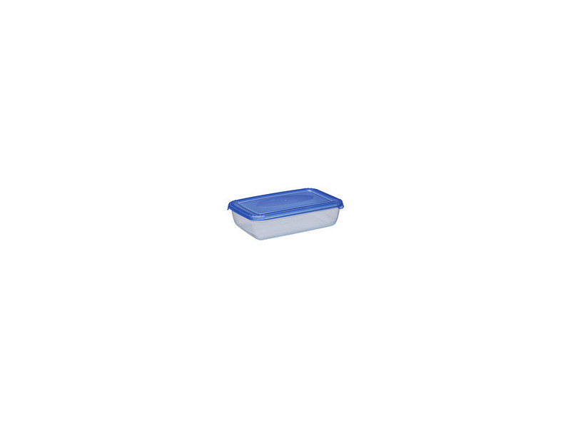 plast team Boîte de congélation Polar, 0,45 litre, rouge