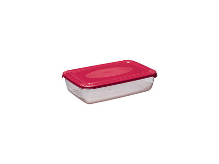 plast team Boîte de congélation Polar, 0,9 litre, gris