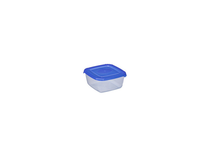 plast team Boîte de congélation Polar, 0,95 litre, gris