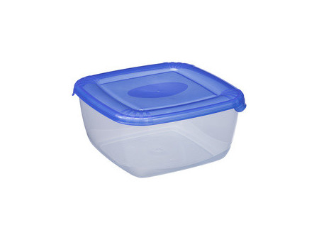 plast team Boîte de congélation Polar, 0,95 litre, gris