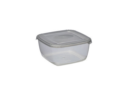 plast team Boîte de congélation Polar, 0,95 litre, bleu