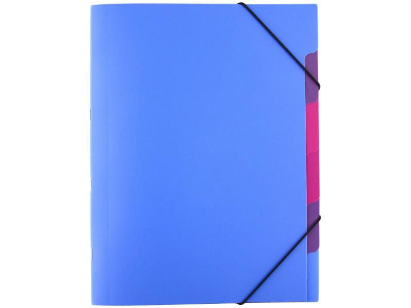 PAGNA Trieur 'Funky School', A4, PP, 5 compartiments