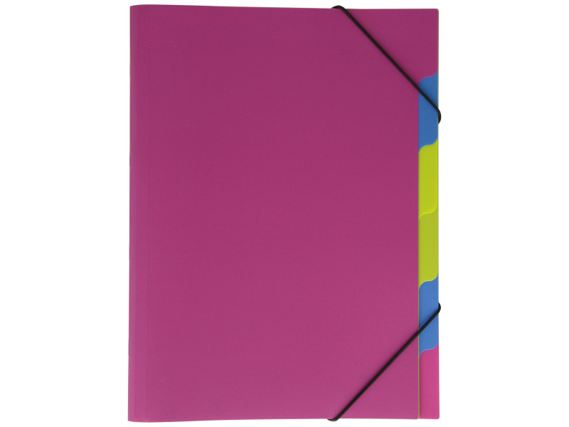 PAGNA Trieur 'Funky School', A4, PP, 5 compartiments