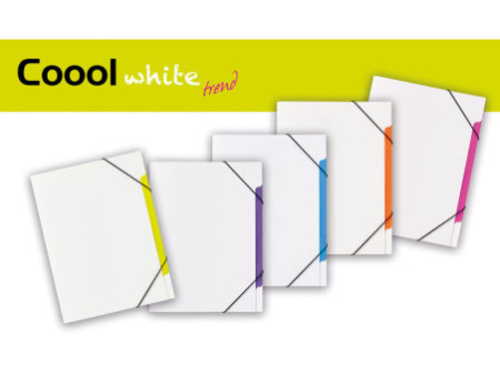 PAGNA Set de trieurs 'Coool white Trend', A4, compartiments