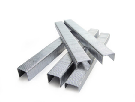 TACWISE Agrafes 13/14 mm, fin, galvanisé