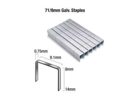 TACWISE Agrafes 71/8 mm galvanisées, 20.000 pièces