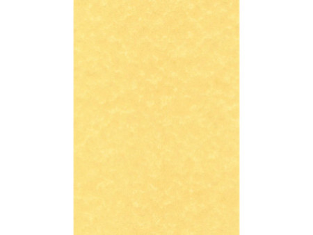 agipa Papier structuré, A4, 165 g/m2, parchemin or