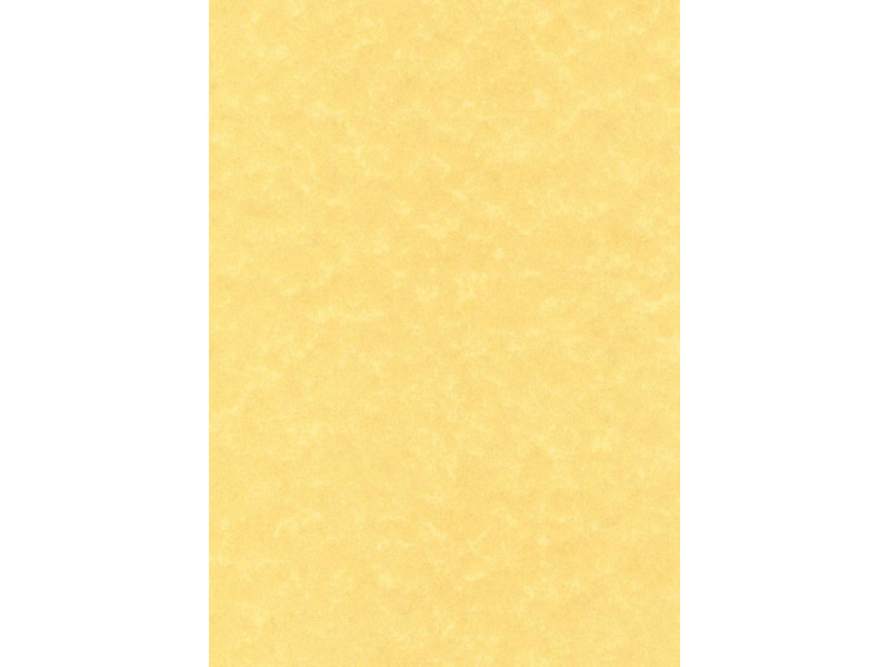 agipa Papier structuré, A4, 165 g/m2, parchemin or