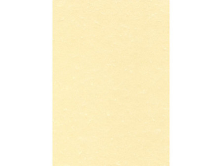 agipa Papier structuré, A4, 165 g/m2, parchemin champagne