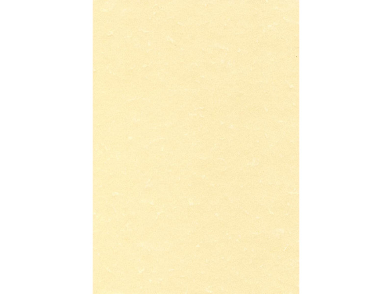 agipa Papier structuré, A4, 165 g/m2, parchemin champagne